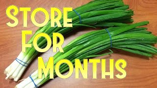 How to Store Spring Onion for Months