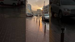 Rain In Doha - youtubeshorts qatar rain doha winter shorts