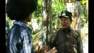 TRIARGA TV LIVE STREAMING screenshot 4