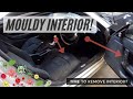 Smart....Mouldy Interior! - Smart Roadster Brabus - 005