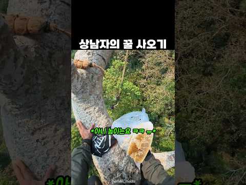 상남자의 꿀 사오기