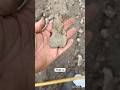 What is this? #arrowhead #rockhounding #artifacts #nativeamericanartifacts #americanindian #relics
