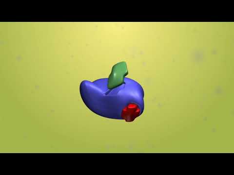 Video: Jak vzniká aktivní místo enzymu?