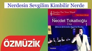 Nerdesin Sevgilim Kimbilir Nerde - Necdet Tokatlıoğlu (Official Video)