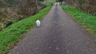 just the 3 of us for todays walk in rural France.