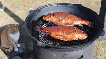 РЫБА ГОРЯЧЕГО КОПЧЕНИЯ. КАРП В КАЗАНЕ НА КОСТРЕ