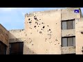 China manifiesta preocupación por la situación en Siria