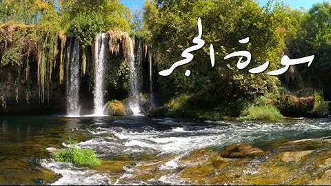 المقرئ أنس نوفل.حفظه الله تعالى (سورة الحجر