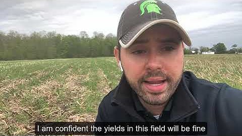 Assessing Frost Damage in Soybeans