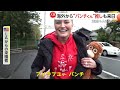 “パンチくん”推し 海外からも来日　アメリカの動物園でも「ぬいぐるみと遊ぶサル」（2026年03月23日）