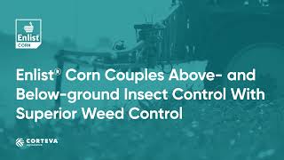 Enlist Corn Couples Above- and Below-ground Insect Control With Superior Weed Control