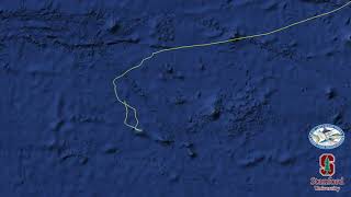 2020 Master Angler Billfish Tournament/Magdalena Bay Third Place @IGFAHQ