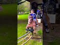 Cool horse ride  shorts viralshorts ytshorts fyp themepark amusementpark