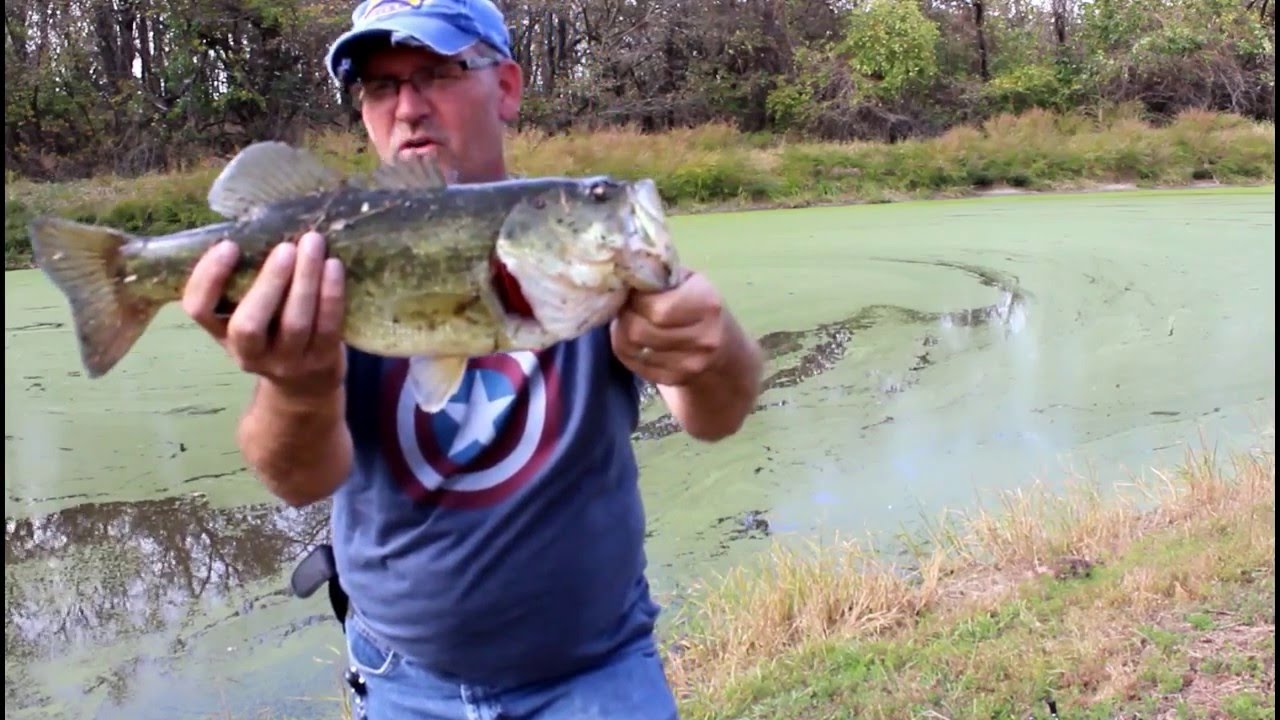 Bass Fishing With Wacky Rig