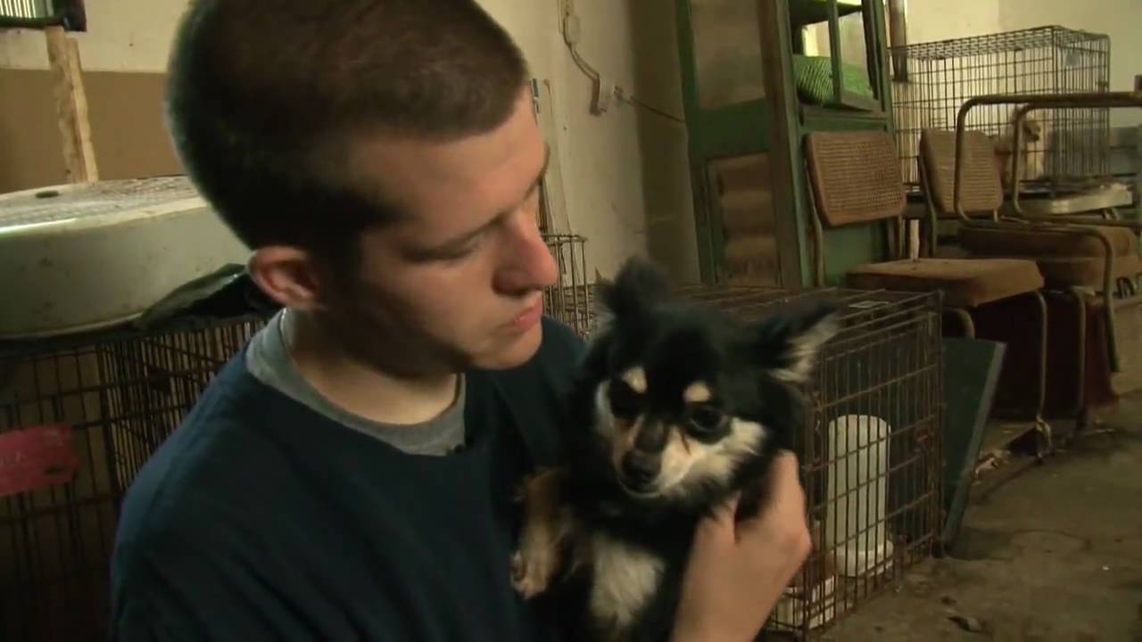 Mississippi Puppy Mill Raid - YouTube
