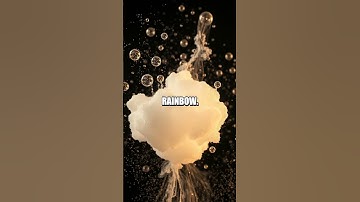 Tiny Kitchen Quantum Surprises