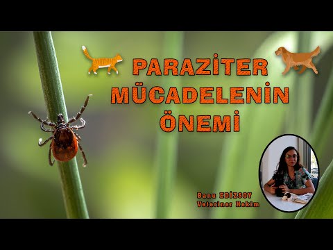 Paraziter Mücadelenin Önemi