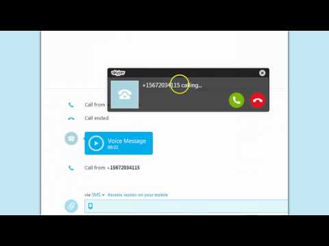 How to make a Skype Call From Google Voice