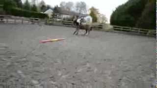 RAW - FUNNY FALL OFF TROY