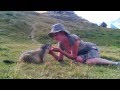 Rencontre magique avec une marmotte