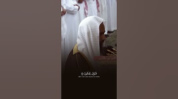 سورة الحجر | احمد بن طالب