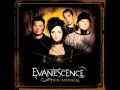 Evanescence  my immortal