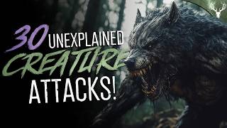 30 UNEXPLAINED Creature Attacks and Encounters! COMPILATION