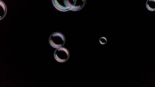 Aventurile Fraților Urși Câștigătorul Ia Mingea România