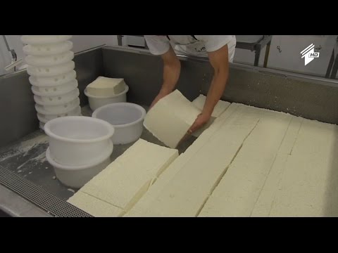 ვიდეო: რძის ცხელება რძის ძროხებში