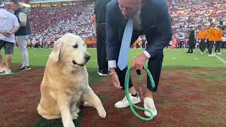 The best of Kirk Herbstreit with his dogs
