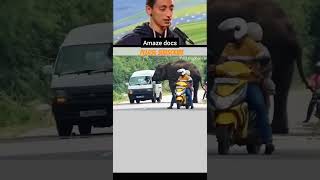 elephant funny voiceover video 😂🤣