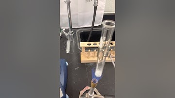 Percent Hydrate Lab - data collection Part 3 (mass of final heating)