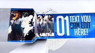 Global network after effects template