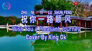 Wishing You a Smooth Journey | Mandarin Song Cover