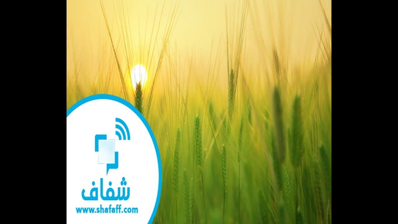 شفاف | اسأل مجرب - تعرف على كلية الزراعة جامعة الأزهر و أقسامها