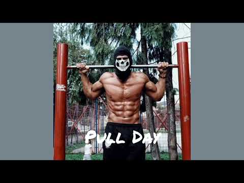 Calisthenics Pull Day | Day 18 of Calisthenics Full Year Workout