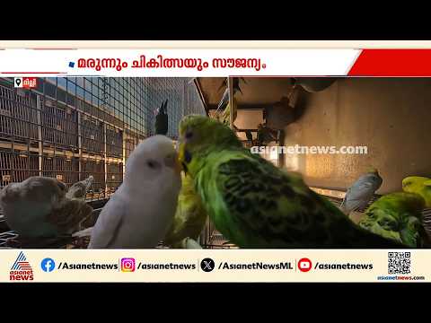 പരിക്കേറ്റ പക്ഷികൾക്കായി ഒരു ആശുപത്രി; ദില്ലിയിലെ ചാരിറ്റി ബേർഡ്സ് ആശുപത്രിയെ കുറിച്ച് അറിയാം