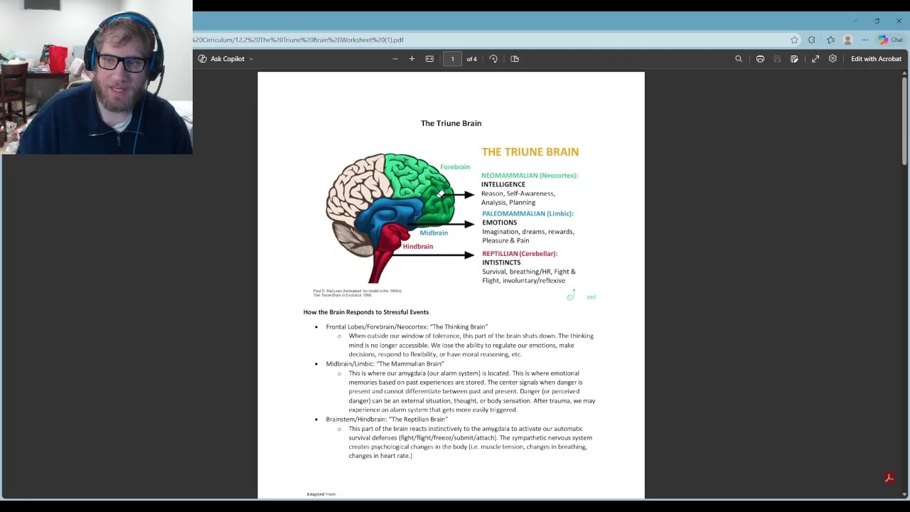 The Triune Brain: What is it and How Does it Relate to Trauma?