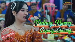 Podang Kuning Cp Gunung Cs Areva  Voc Sahita   Shifa Jaya 