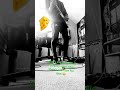 Help a bror out la #cat #newriff #nirvana #music #cover #electricguitar #newmusic #bleach #help