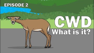 CWD Series Episode 2 - What is CWD?