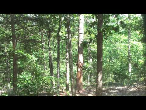 30 lbs Exploding Binary Targets at 15 yards Video 2