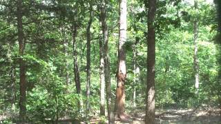 30 lbs Exploding Binary Targets at 15 yards Video 2