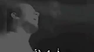 وديع الشيخ حالات واتس اب جديد..?