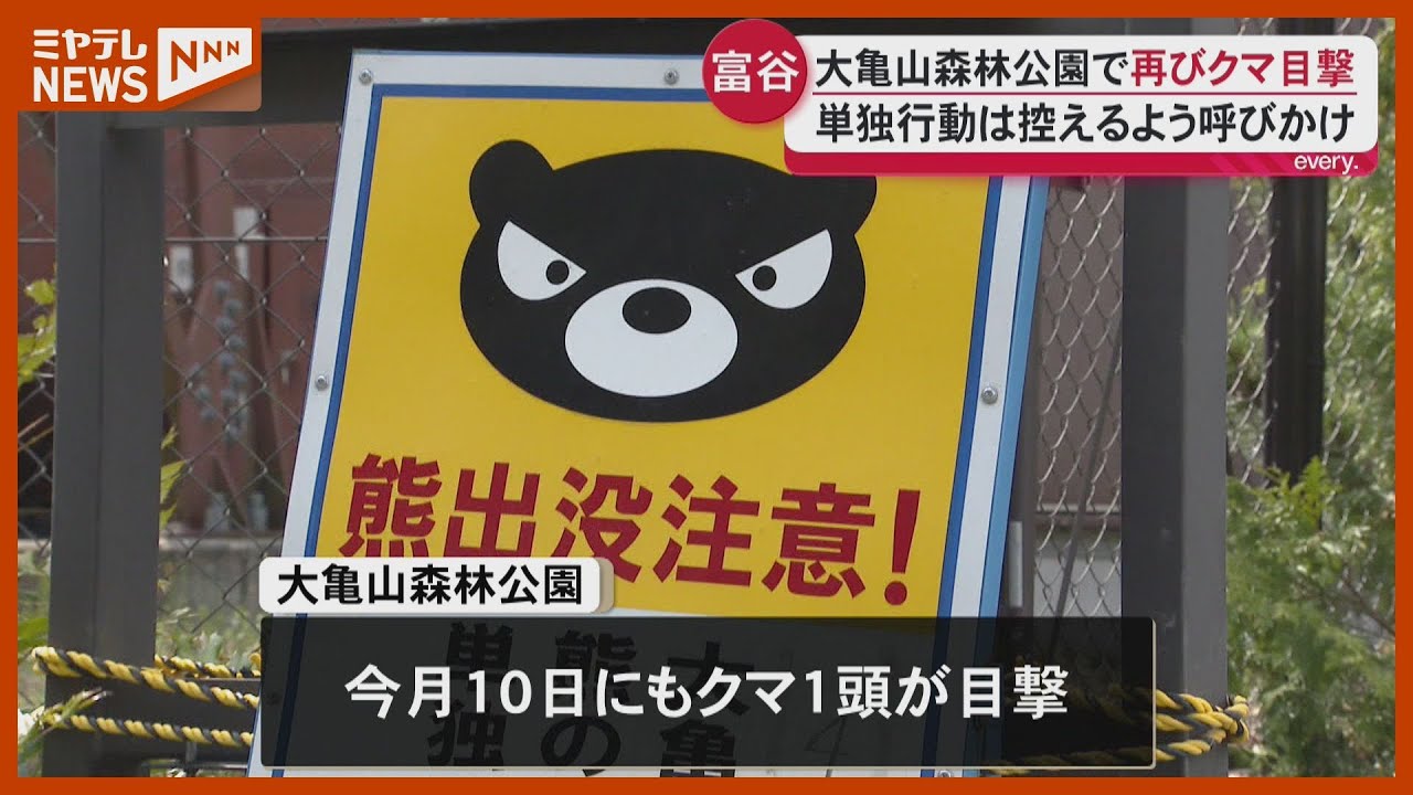 Bear Sighting] One bear was spotted in a park in Tomiya City