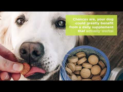 Key building blocks for your dog. - video from Vetericyn
