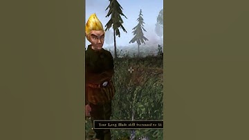 Killing the adoring fan in Morrowind every day until Skywind and Skyblivion are released  Day - 128