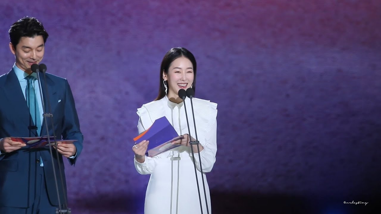 180503 백상예술대상 TV부문 최우수상 시상 서현진 focus 직캠