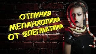 Меланхолик и флегматик. Отличия с примерами из фильмов 😦😐