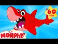 Shark Adventures with Morphle ( +1 hour My Magic Pet Morphle Kids Animal Videos Compilation)